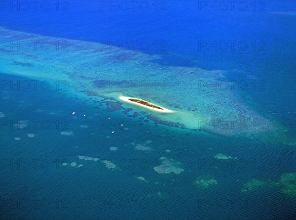 Aerial view of Michaelmas Cay offshore from Cairns Queensland Australia
