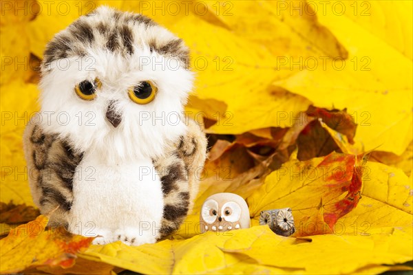 Owls Figures on Autumn Leaves