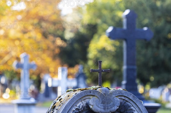 Prague Cemetery Stuttgart in autumn