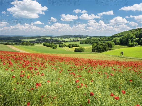 Typical hilly landscape in the Rhoen