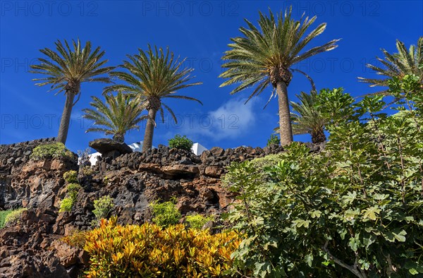 Cultural site and tourist attraction Jameos del Aqua