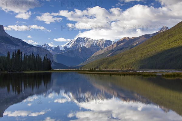 Mount Kitchener reflected in the Beauty Creek Pool near the Sunwapta River