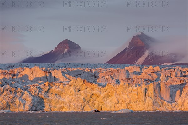 Kongsbreen glacier in evening light at sunset