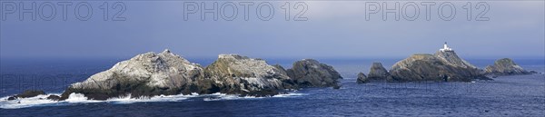 Gannetry on sea stacks and the Muckle Flugga lighthouse