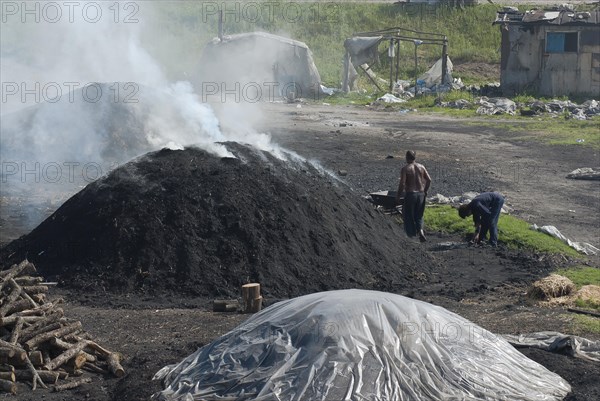 Charcoal burners during charcoal extraction