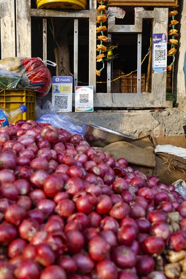 Onion stall with cashless payment logos in Paharganj