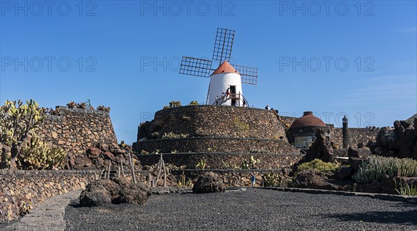 Windmill in the Jardin de Cactus