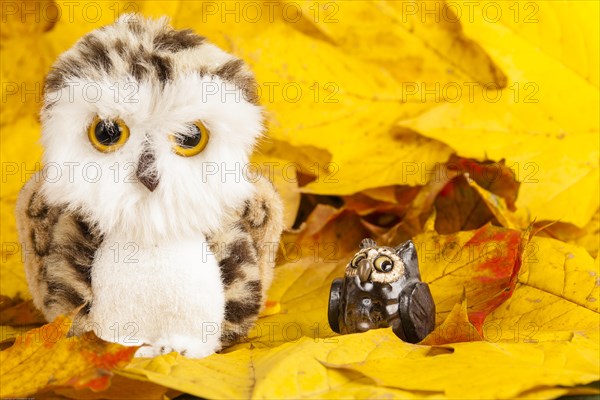 Owls Figures on Autumn Leaves