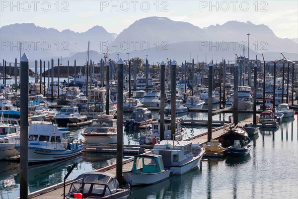 Boats in the harbour of Homer