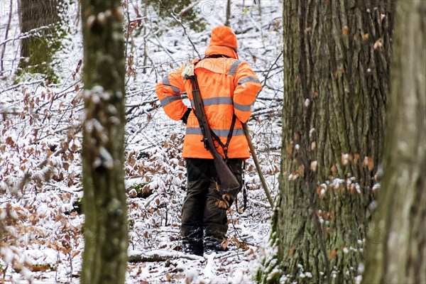 Driven hunt in Schoenbuch Nature Park