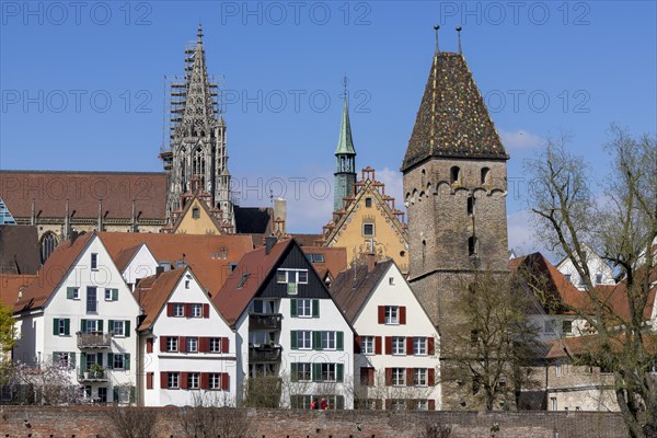 Ulm city wall and behind it Ulm Cathedral