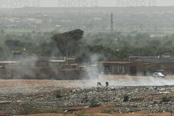 Animals feeding on a smouldering rubbish dump