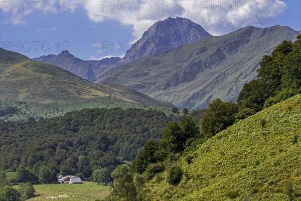 Farm and the mountain Pic du Midi de Bigorre in the French Pyrenees