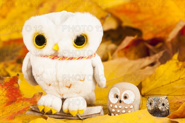 Owls Figures on Autumn Leaves