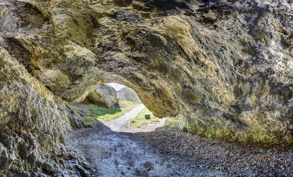 Vogelherdhoehle in the Lone Valley