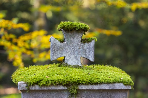 Cemetery in autumn