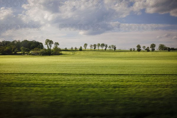 Landscape in central Germany. View from a moving train onto meadows and trees