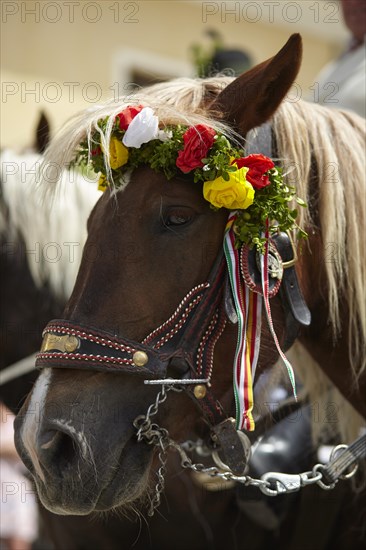 Wreath riding