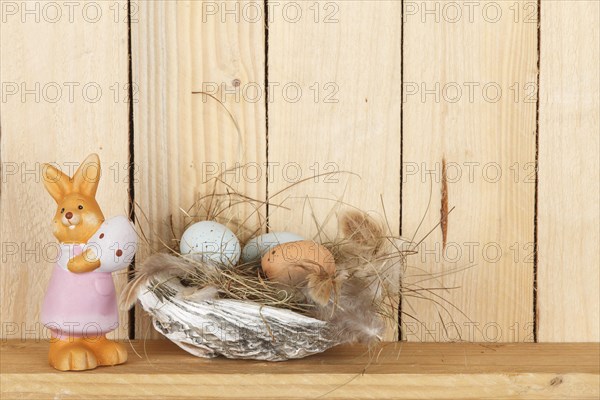 Easter nest from a shell with some eggs