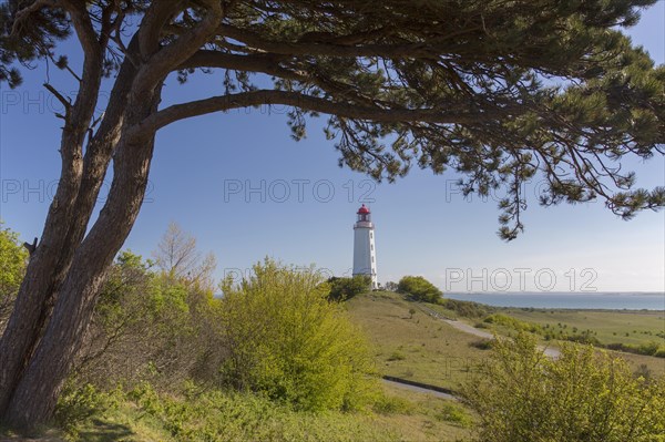 Dornbusch Lighthouse