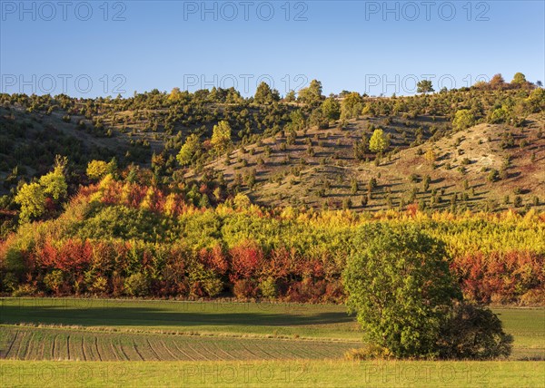 The dry slopes at Hoher Doernberg in autumn