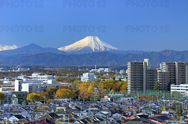 Mount Fuji