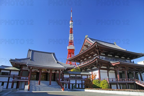 Tokyo Tower view from Zojo-ji temple Japan Asia