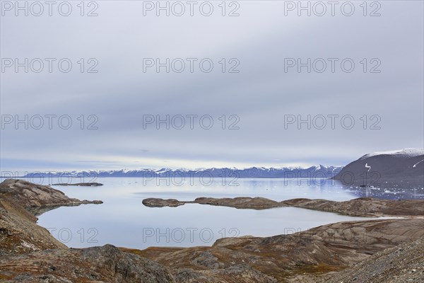 View over Hornbaekpollen