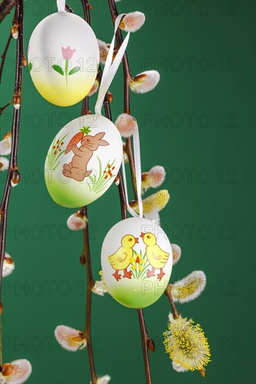 Willow catkin with Easter eggs