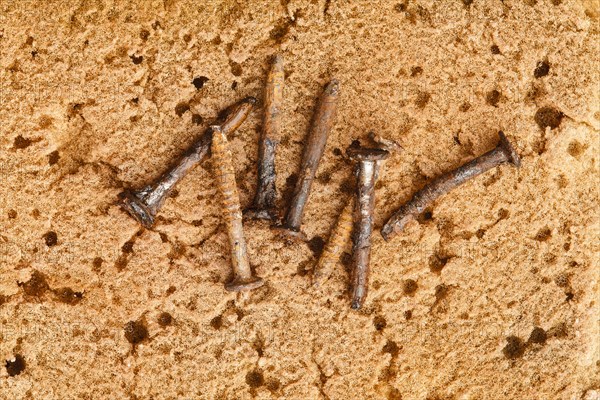 Rusty metal screws on sponge