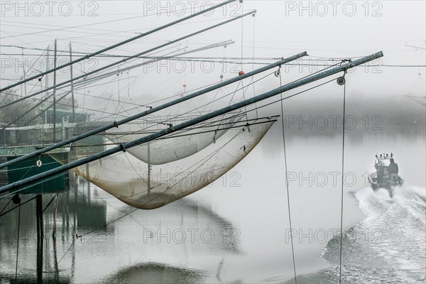 Eel nets on a branch of the Po in Italy. In the early morning