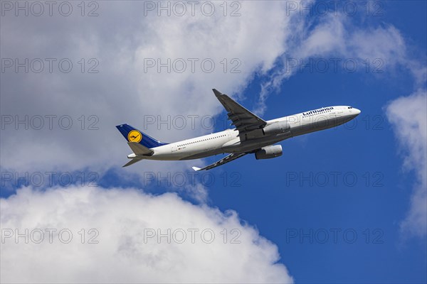 Airbus A330-300 of the airline Lufthansa taking off at Fraport Airport