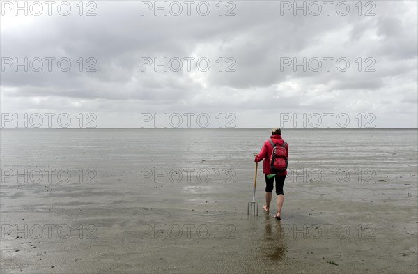 A woman walking in the mudflats at low tide