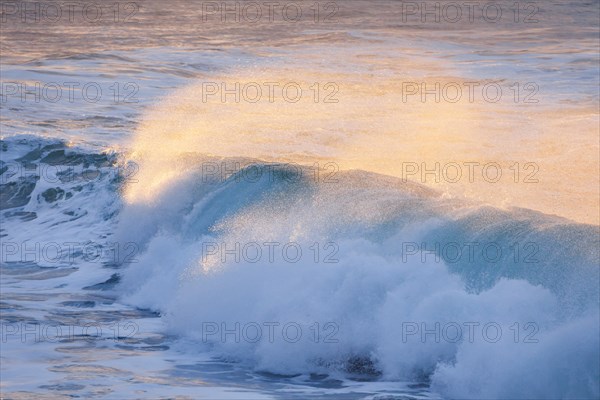 Backlit wave breaking in warm evening light on open sea off north coast of Scotland