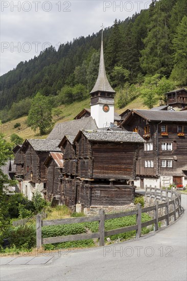 Village view of the mountain village of Niederwald