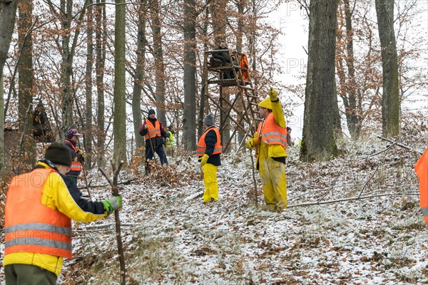 Driven hunt in Schoenbuch Nature Park