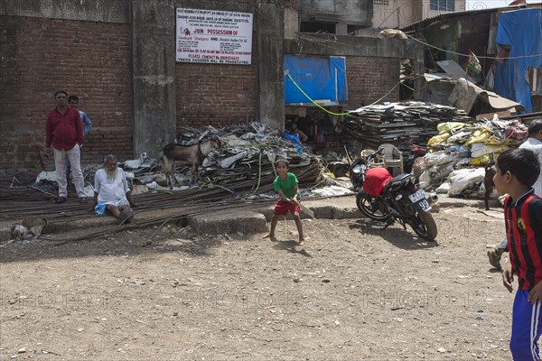 Cricket is a popular sport in India