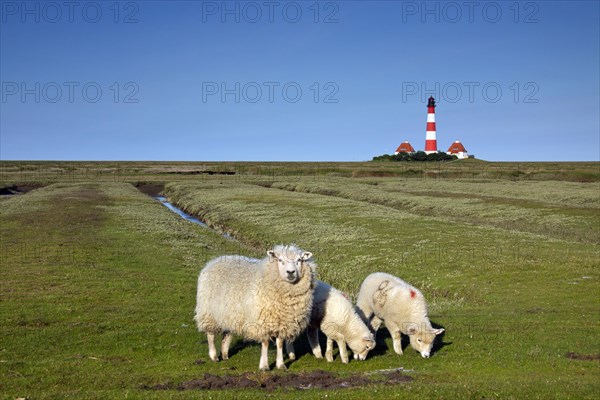 Lighthouse Westerheversand at Westerhever on the Eiderstedt Peninsula