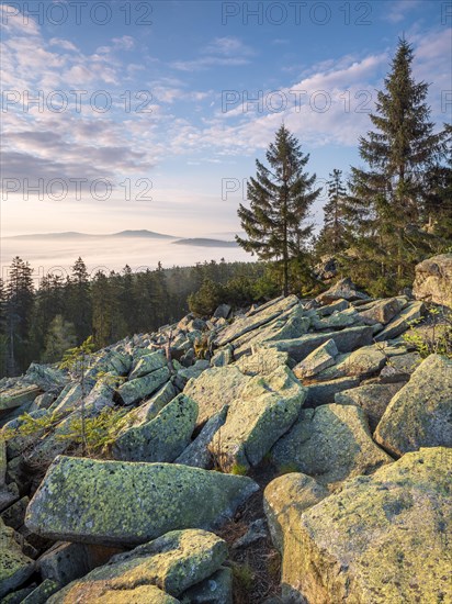 Morning atmosphere in the Fichtelgebirge