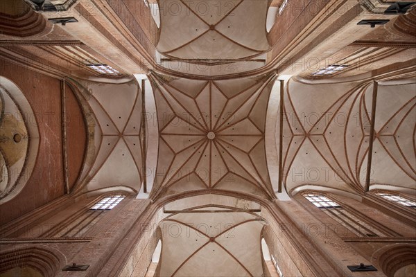 View of the star vault above the crossing in the Georgenkirche