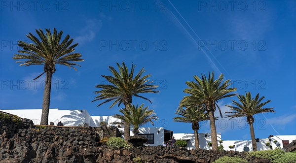 Cultural site and tourist attraction Jameos del Aqua