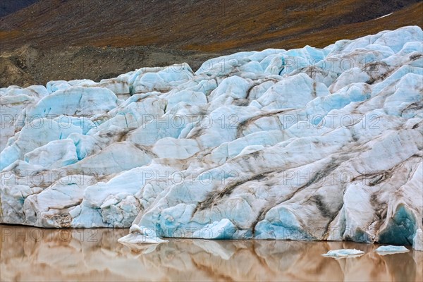Erikbreen glacier debouches in Liefdefjorden