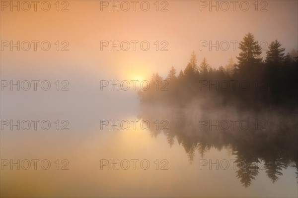 Sunrise over the mirror-smooth mire lake Etang de la Gruere in the canton of Jura