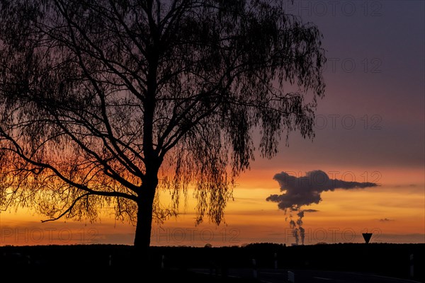 The Schwarze Pumpe coal-fired power plant looms in the evening twilight near Ober-Prauske