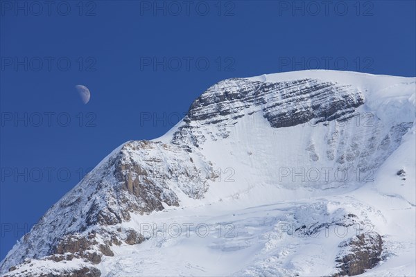 Mount Athabasca in the Columbia Icefield of Jasper National Park