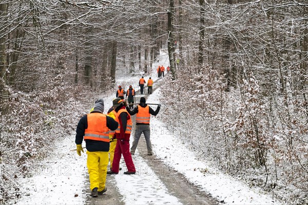 Driven hunt in Schoenbuch Nature Park