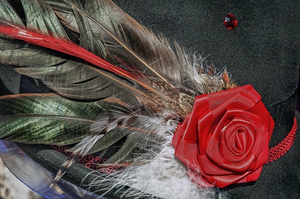 Feather decoration on a Bavarian hat