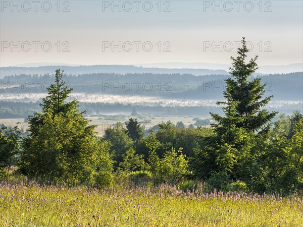 Typical landscape in the Rhoen biosphere reserve