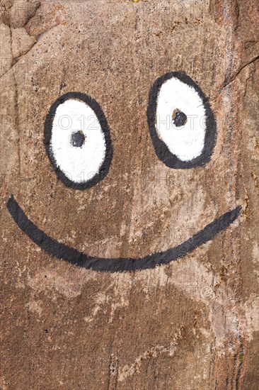Face