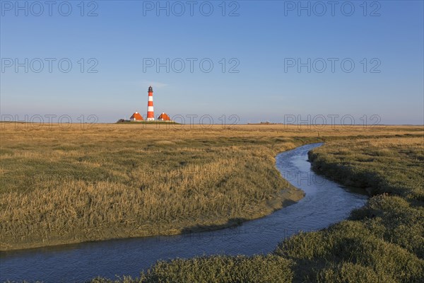 Saltmarsh and the lighthouse Westerhever in spring